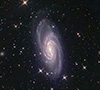 ngc 2903