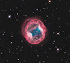 PK164-31.1