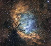 Sh2-101