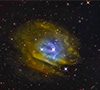 Sh2-313