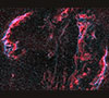 Veil Nebula