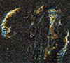 Veil Nebula