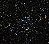 M50