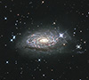 M63