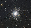 M79