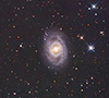 m95