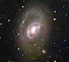 M96