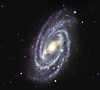 M109