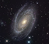M81
