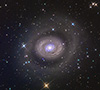 M94