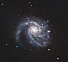 M99