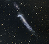 NGC 4656