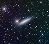 NGC 6503