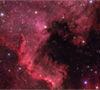 NGC 7000