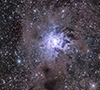 NGC 7023