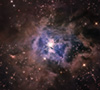 ngc 7023